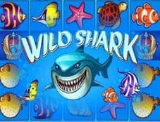 Wildshark